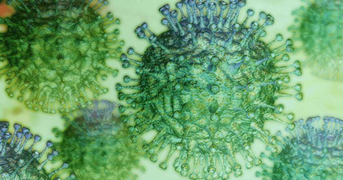 Coronavirus, in Puglia 152 nuovi casi: sale a 1.334 il numero dei contagiati